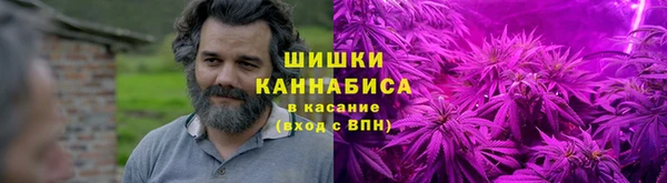 PSILOCYBIN Гусиноозёрск