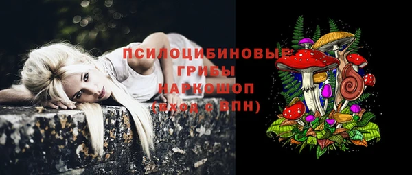 молекула духа Гусь-Хрустальный